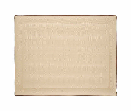 BLACKDEER Fun Electric Inflatable Bed Air SofaBed BlackDeer