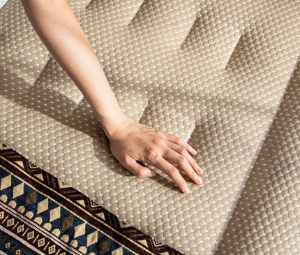 BLACKDEER Fun Electric Inflatable Bed Air SofaBed BlackDeer