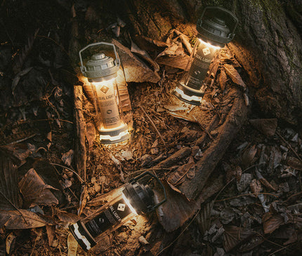 CARGO Dual Light Mini Light Cargo