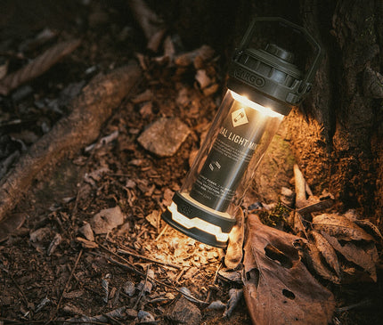 CARGO Dual Light Mini Light Cargo