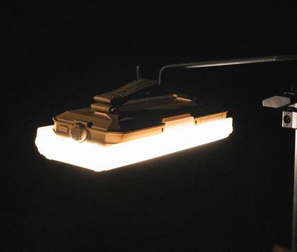 CARGO Surround Light Pro Light Cargo
