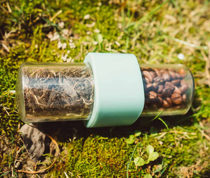 FIREMAPLE Tea and Coffee Container Tableware FireMaple Green