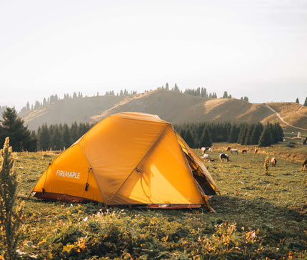 FIREMAPLE Tropics 2 Person Tent TENT FireMaple