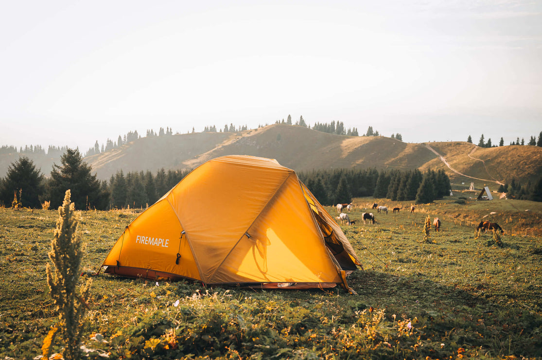 FIREMAPLE Tropics 2 Person Tent TENT FireMaple