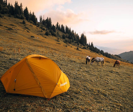 FIREMAPLE Tropics 2 Person Tent TENT FireMaple