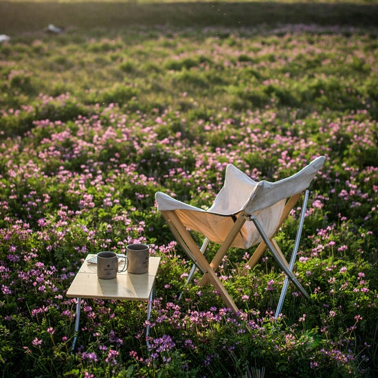 SNOW PEAK Take! Bamboo Chair Camping Chair Snow Peak
