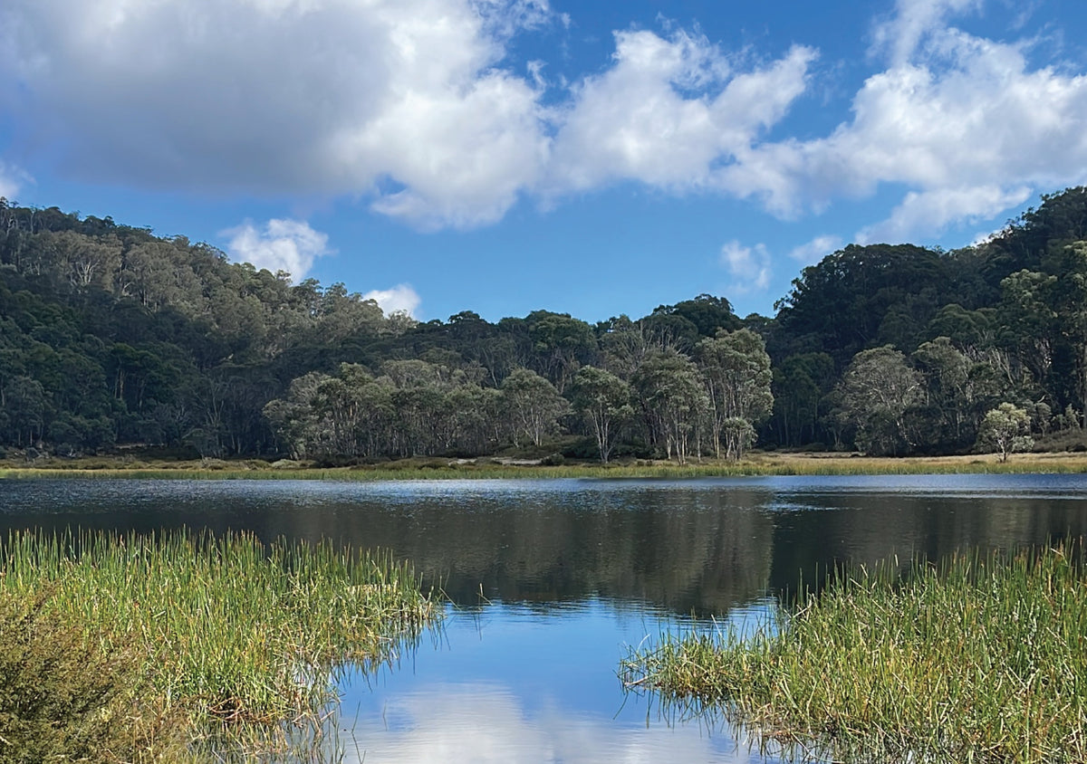 Best Camping Spots in Autumn Around Melbourne & in Victoria 🍂⛺