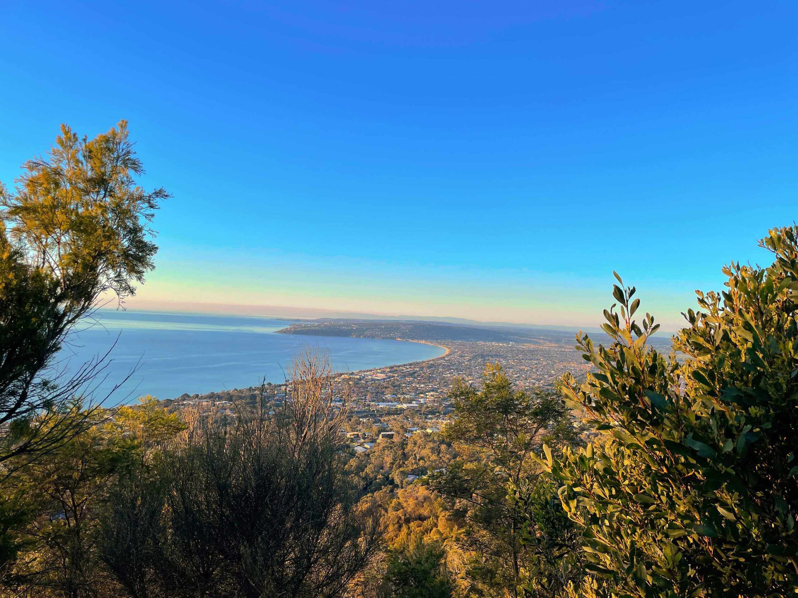Five of The Best Day Walks in Victoria