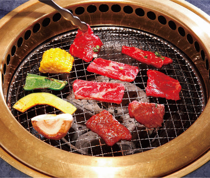 UNIFLAME UNISERA TG-Ⅲ Table Top Grill System