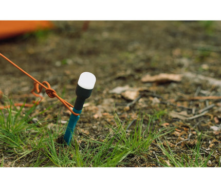 BOILITE Site Light Light Biolite 
