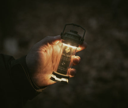 CARGO Dual Light Mini Light Cargo 
