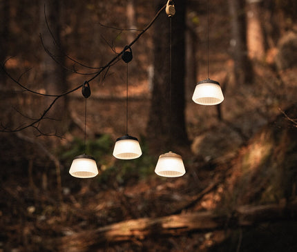 CARGO Reel Light (Mini/Pro) Light Cargo 