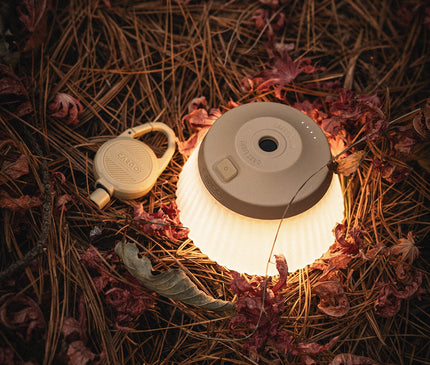 CARGO Reel Light (Mini/Pro) Light Cargo 