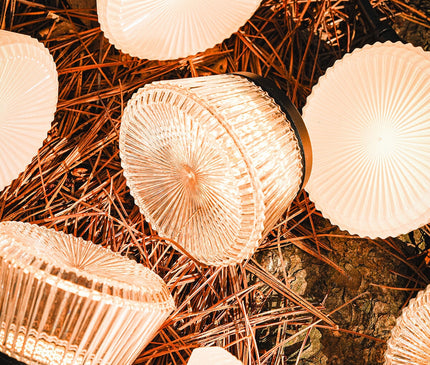 CARGO Shine String Light 7 Light Cargo 