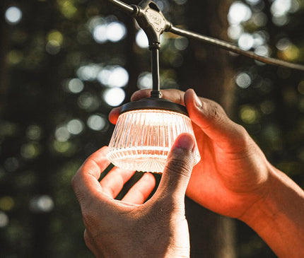 CARGO Shine String Light 7 Light Cargo 