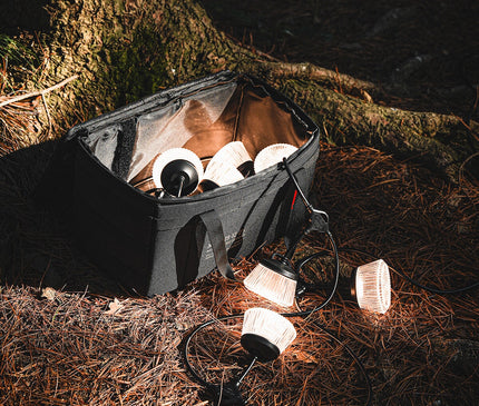 CARGO Shine String Light 7 Light Cargo 