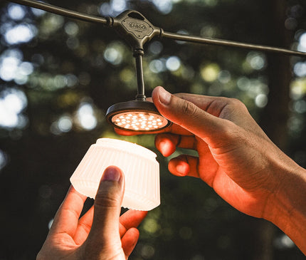 CARGO Shine String Light 7 Light Cargo 