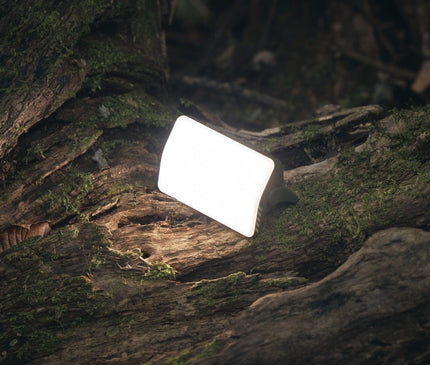 CARGO Slim Light Mini Light Cargo 
