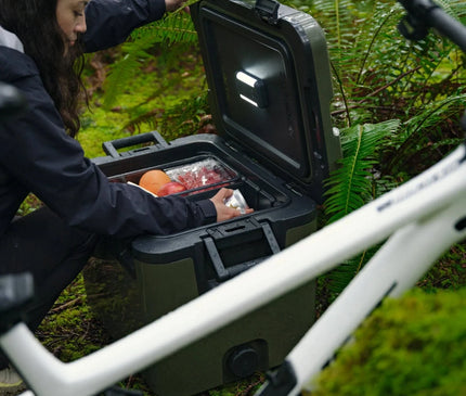 DOMETIC Recon 41L Hardside Cooler cooler Dometic 