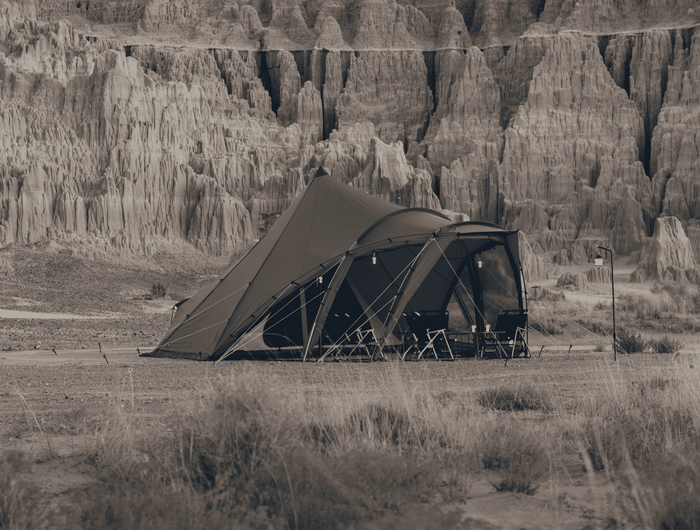 <h2>Zane Arts LoLo</h2>