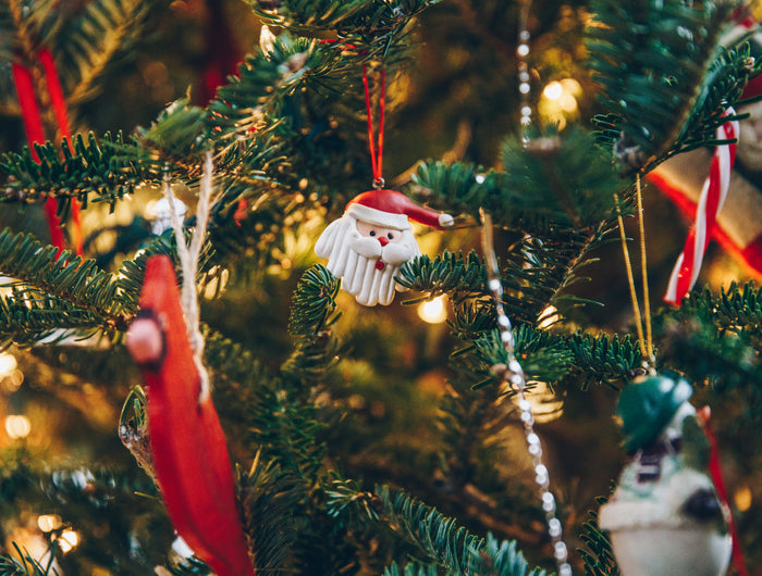 <h2>Merry Christmas & Happy New Year! </h2>