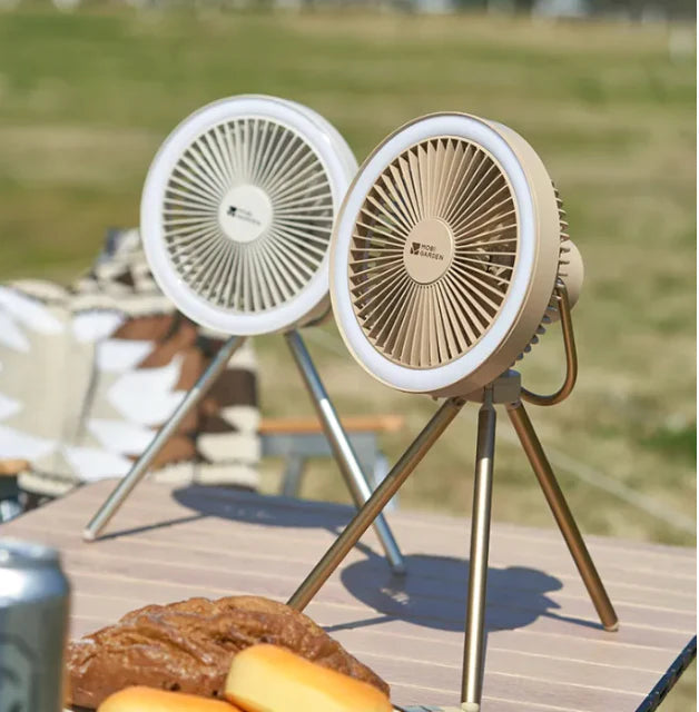 Portable Fan 