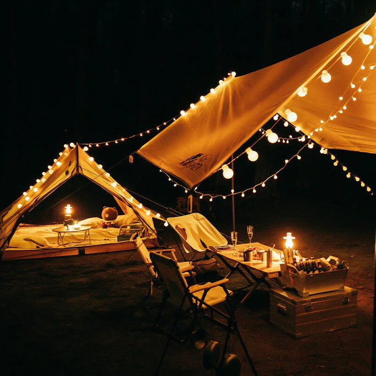 MOBI GARDEN Starry Sky String Light Light Mobi Garden