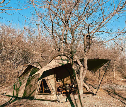 SON OF YAMANO Cloud Sails Tent Tent Son of Yamano 