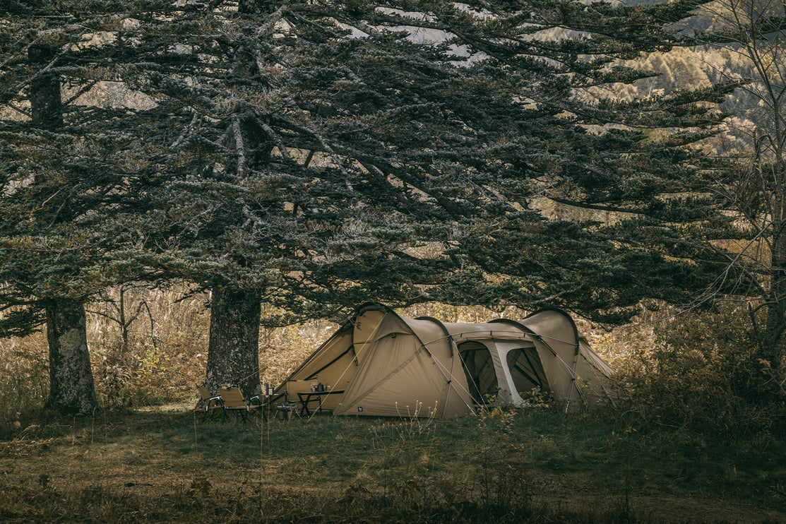 ZANE ARTS Roga TENT Zane Arts 