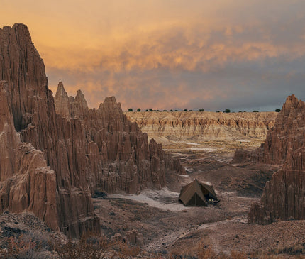 ZANE ARTS Zeku M TENT Zane Arts 