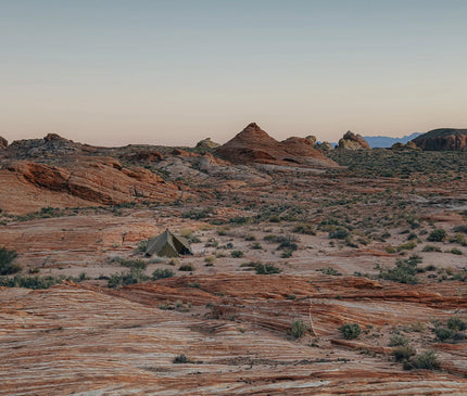 ZANE ARTS Zeku M TENT Zane Arts 