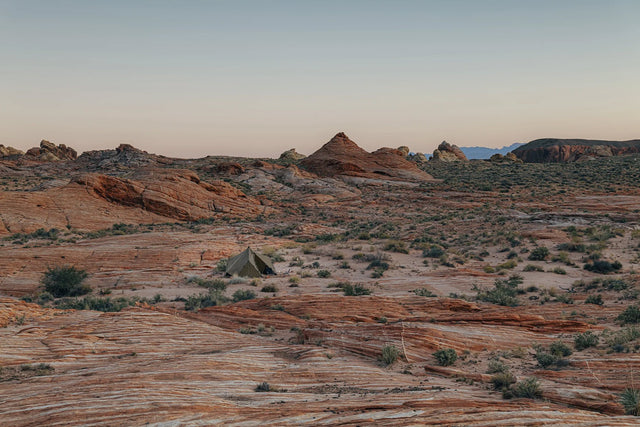 ZANE ARTS Zeku M TENT Zane Arts 